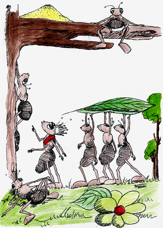 Formiguinhas Construindo Formigueiro